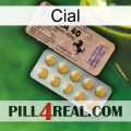 Cial 41